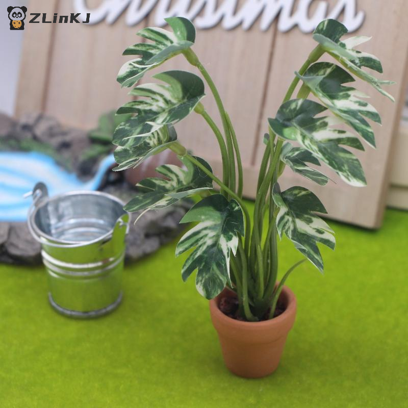 ▶1Pcs 1:12 Dollhouse Simulatio – Sustainable Living Products Bewertung und Preis