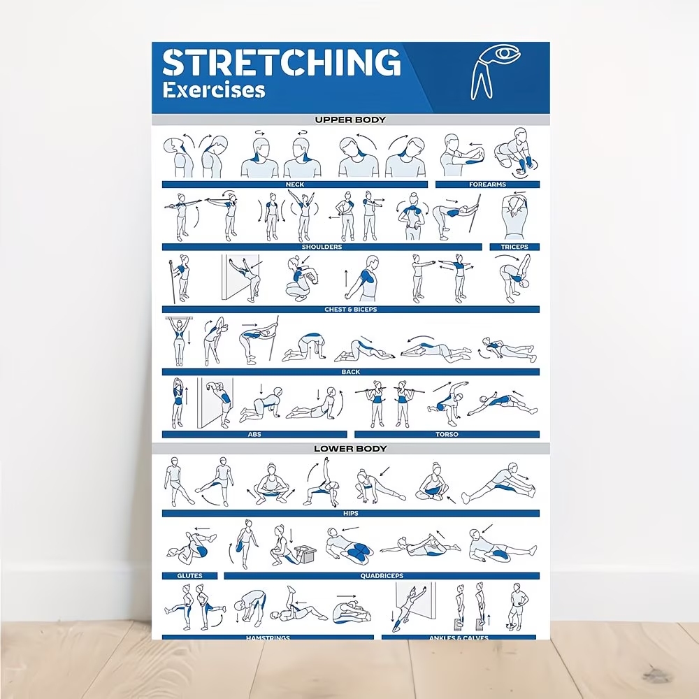 Modern Labeled Full-Body Stret – Sustainable Living Products Bewertung und Preis