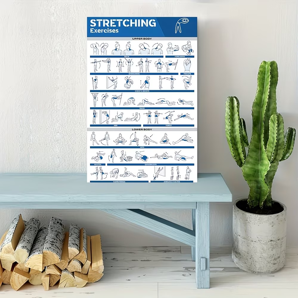 Modern Labeled Full-Body Stret – Sustainable Living Products Bewertung und Preis