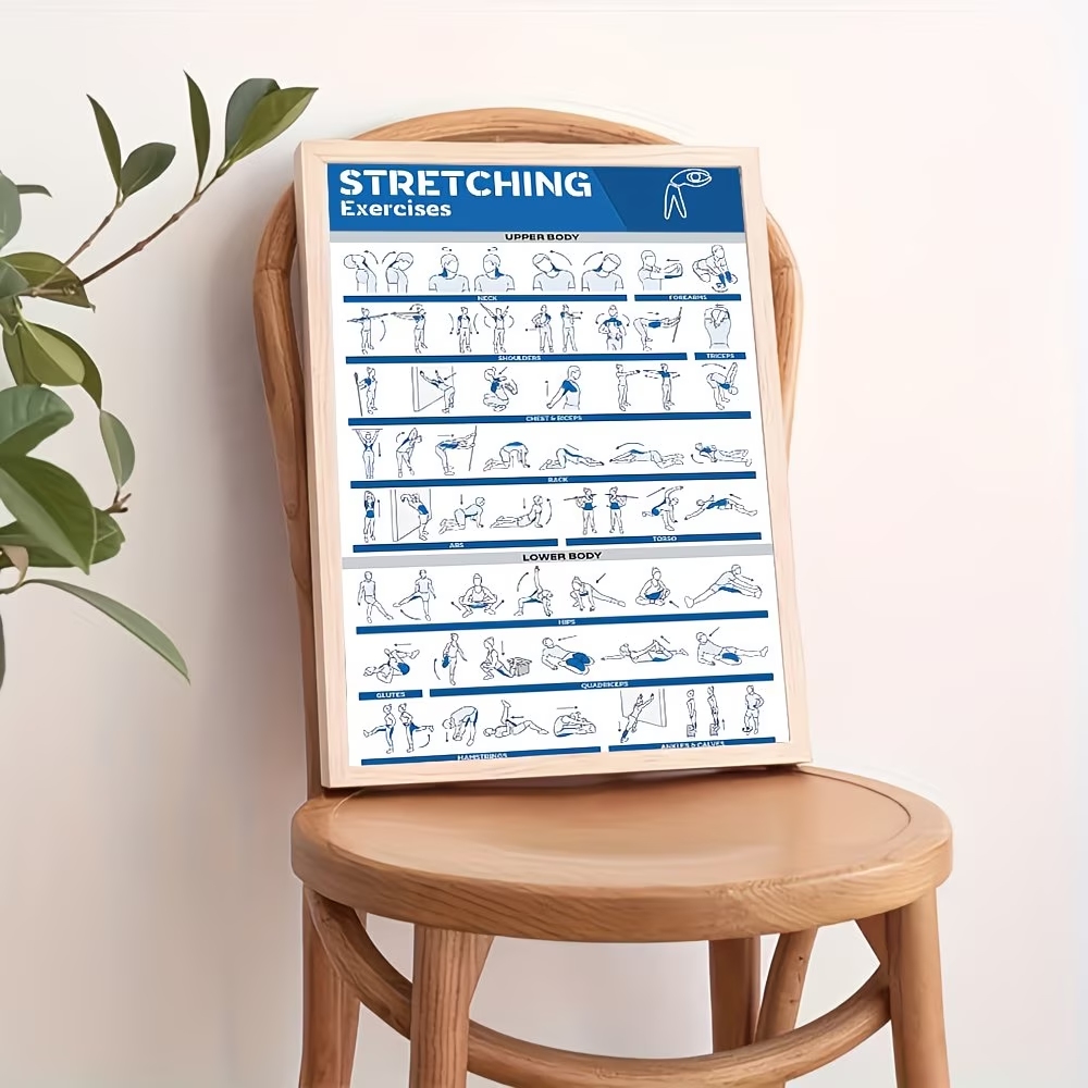 Modern Labeled Full-Body Stret – Sustainable Living Products Bewertung und Preis